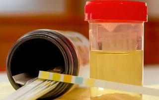 Synthetic Urine